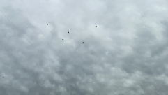 فيديو :رشقة صواريخ كبيرة من قطاع غزة على منطقة المركز 